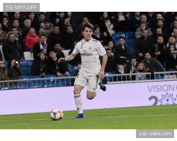 卡瓦哈尔与阿什拉夫在推进频率上出现分化由体系驱动多点参与趋势