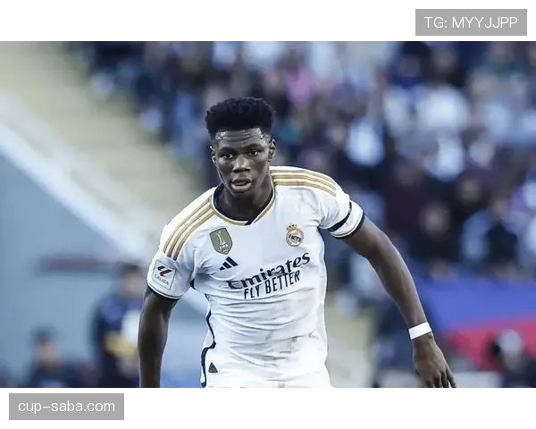 帕利尼亚与罗德里：防守型后腰与控场型后腰对比分析