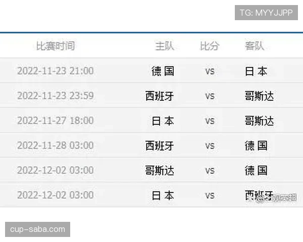 世界杯E组积分预测与排名分析